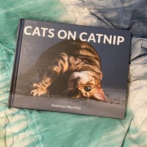 Cats on Catnip coffee table book